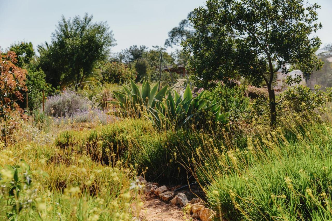 הוילה מונקאראפאצ'ו Quinta Bohemia מראה חיצוני תמונה